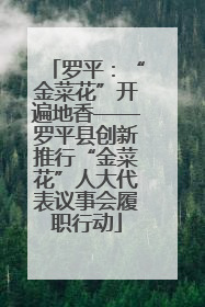 罗平：“金菜花”开遍地香——罗平县创新推行“金菜花”人大代表议事会履职行动