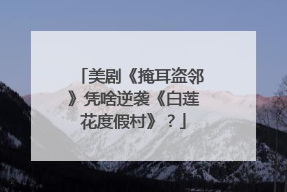 美剧《掩耳盗邻》凭啥逆袭《白莲花度假村》？