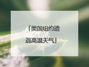 美国纽约遭遇高温天气