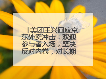 美团王兴回应京东外卖冲击：欢迎参与者入场，坚决反对内卷，对长期很有信心