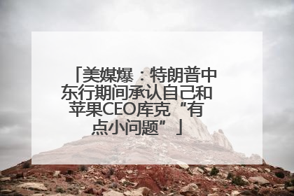 美媒爆：特朗普中东行期间承认自己和苹果CEO库克“有点小问题”