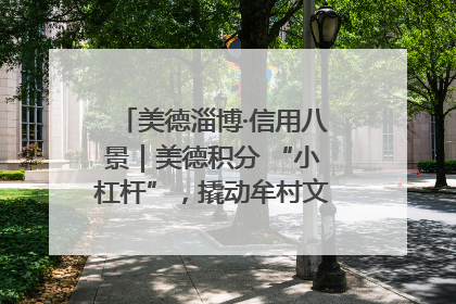 美德淄博·信用八景｜美德积分 “小杠杆”，撬动牟村文明 “大能量”