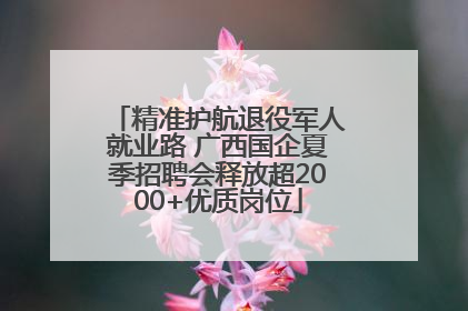 精准护航退役军人就业路 广西国企夏季招聘会释放超2000+优质岗位