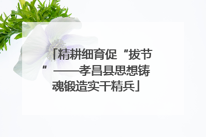 精耕细育促“拔节”——孝昌县思想铸魂锻造实干精兵