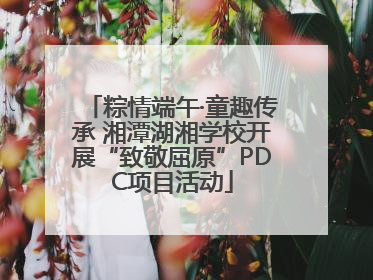 粽情端午·童趣传承 湘潭湖湘学校开展“致敬屈原”PDC项目活动