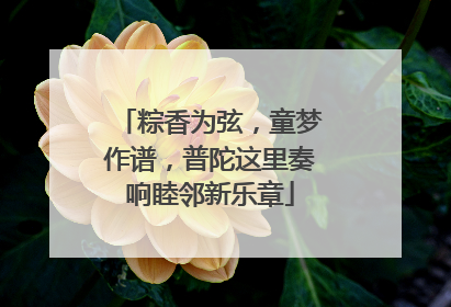 粽香为弦，童梦作谱，普陀这里奏响睦邻新乐章
