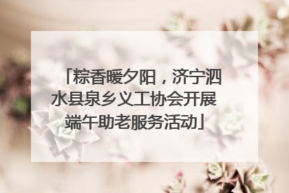 粽香暖夕阳，济宁泗水县泉乡义工协会开展端午助老服务活动
