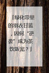 绿化带里的羽衣甘蓝，因何“逆袭”成为茶饮新宠？