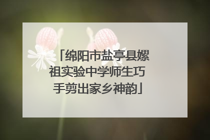 绵阳市盐亭县嫘祖实验中学师生巧手剪出家乡神韵