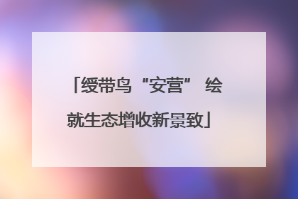 绶带鸟“安营” 绘就生态增收新景致