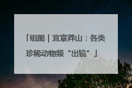 组图｜宜章莽山：各类珍稀动物频“出镜”