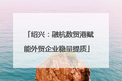绍兴：融杭数贸港赋能外贸企业稳量提质