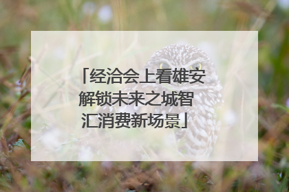 经洽会上看雄安 解锁未来之城智汇消费新场景