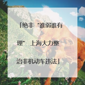 绝非“谁弱谁有理” 上海大力整治非机动车违法