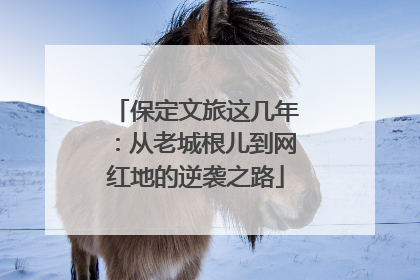 保定文旅这几年：从老城根儿到网红地的逆袭之路
