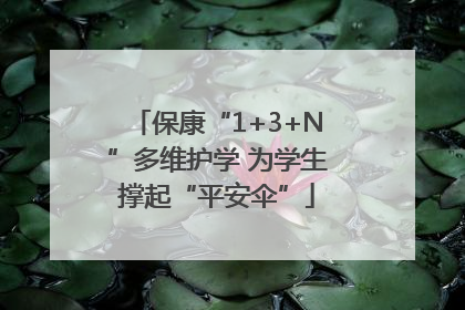 保康“1+3+N”多维护学 为学生撑起“平安伞”