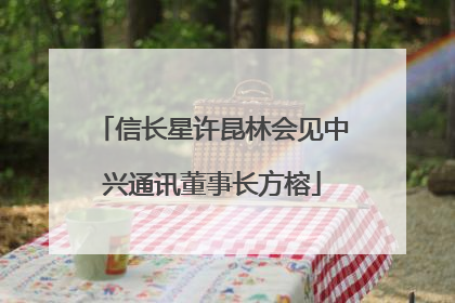 信长星许昆林会见中兴通讯董事长方榕