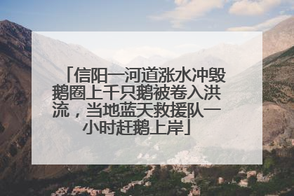 信阳一河道涨水冲毁鹅圈上千只鹅被卷入洪流，当地蓝天救援队一小时赶鹅上岸