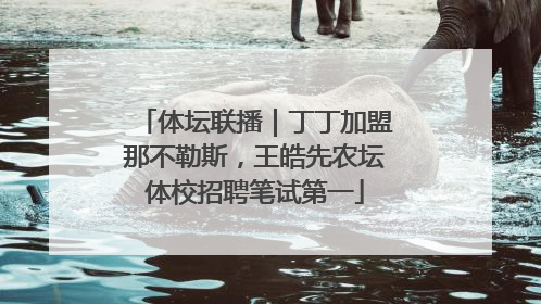 体坛联播｜丁丁加盟那不勒斯，王皓先农坛体校招聘笔试第一
