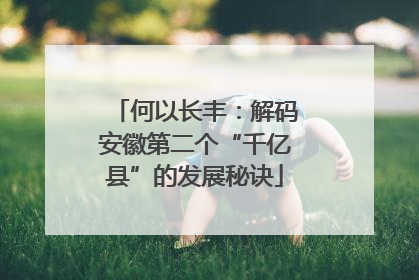 何以长丰：解码安徽第二个“千亿县”的发展秘诀