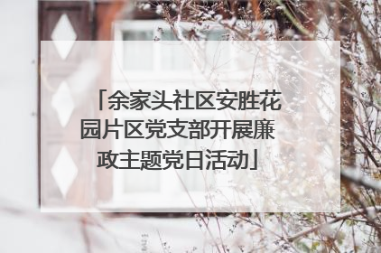 余家头社区安胜花园片区党支部开展廉政主题党日活动