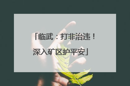 临武：打非治违！深入矿区护平安