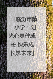 临汾市第一小学：阳光心灵伴成长 快乐成长筑未来