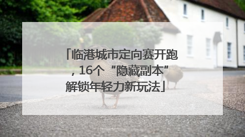 临港城市定向赛开跑，16个“隐藏副本”解锁年轻力新玩法