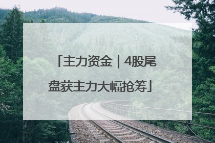 主力资金｜4股尾盘获主力大幅抢筹