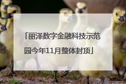 丽泽数字金融科技示范园今年11月整体封顶