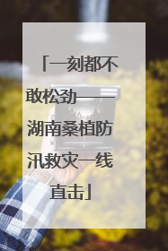 一刻都不敢松劲——湖南桑植防汛救灾一线直击
