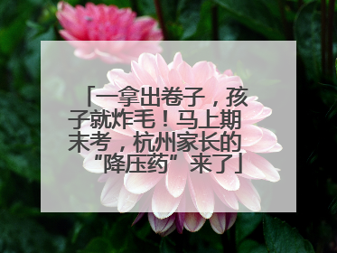 一拿出卷子，孩子就炸毛！马上期末考，杭州家长的“降压药”来了
