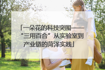 一朵花的科技突围——“三用百合”从实验室到产业链的菏泽实践