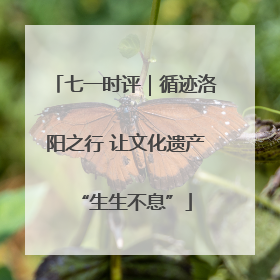 七一时评｜循迹洛阳之行 让文化遗产“生生不息”