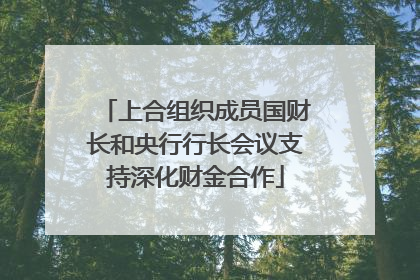 上合组织成员国财长和央行行长会议支持深化财金合作