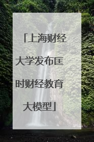 上海财经大学发布匡时财经教育大模型