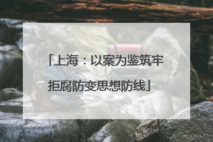 上海：以案为鉴筑牢拒腐防变思想防线