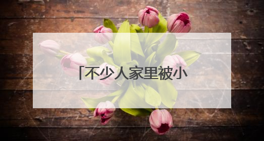 不少人家里被小黑虫“入侵”，墙壁窗户全部爬满！一到晚上更严重，还有一股臭味