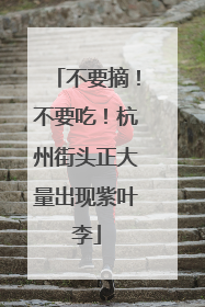 不要摘！不要吃！杭州街头正大量出现紫叶李