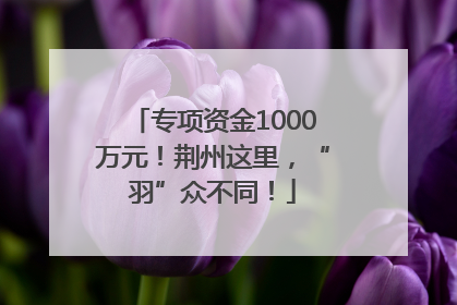 专项资金1000万元！荆州这里，“羽”众不同！