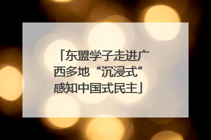 东盟学子走进广西多地“沉浸式”感知中国式民主