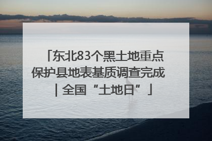 东北83个黑土地重点保护县地表基质调查完成｜全国“土地日”