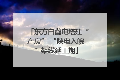 东方白鹳电塔建“产房” “陕电入皖”架线延工期