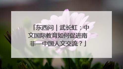 东西问｜武长虹：中文国际教育如何促进南非—中国人文交流？