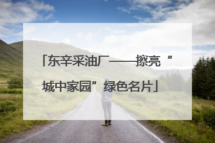 东辛采油厂——擦亮“城中家园”绿色名片