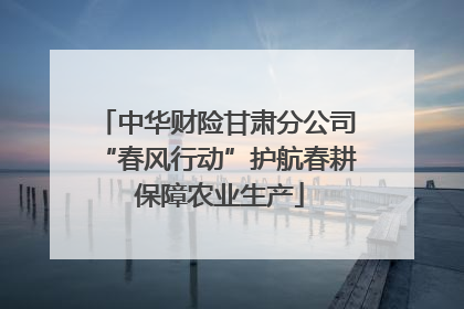 中华财险甘肃分公司“春风行动”护航春耕 保障农业生产