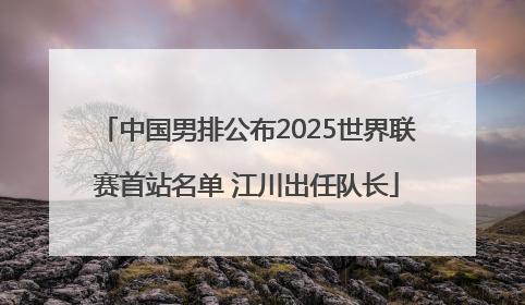 中国男排公布2025世界联赛首站名单 江川出任队长