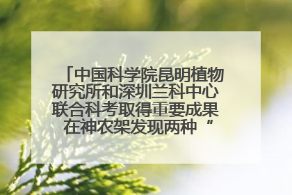 中国科学院昆明植物研究所和深圳兰科中心联合科考取得重要成果 在神农架发现两种“国保”级兰花