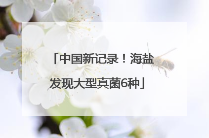 中国新记录！海盐发现大型真菌6种