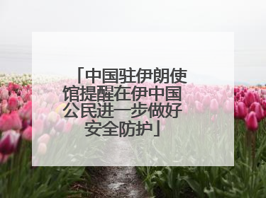中国驻伊朗使馆提醒在伊中国公民进一步做好安全防护